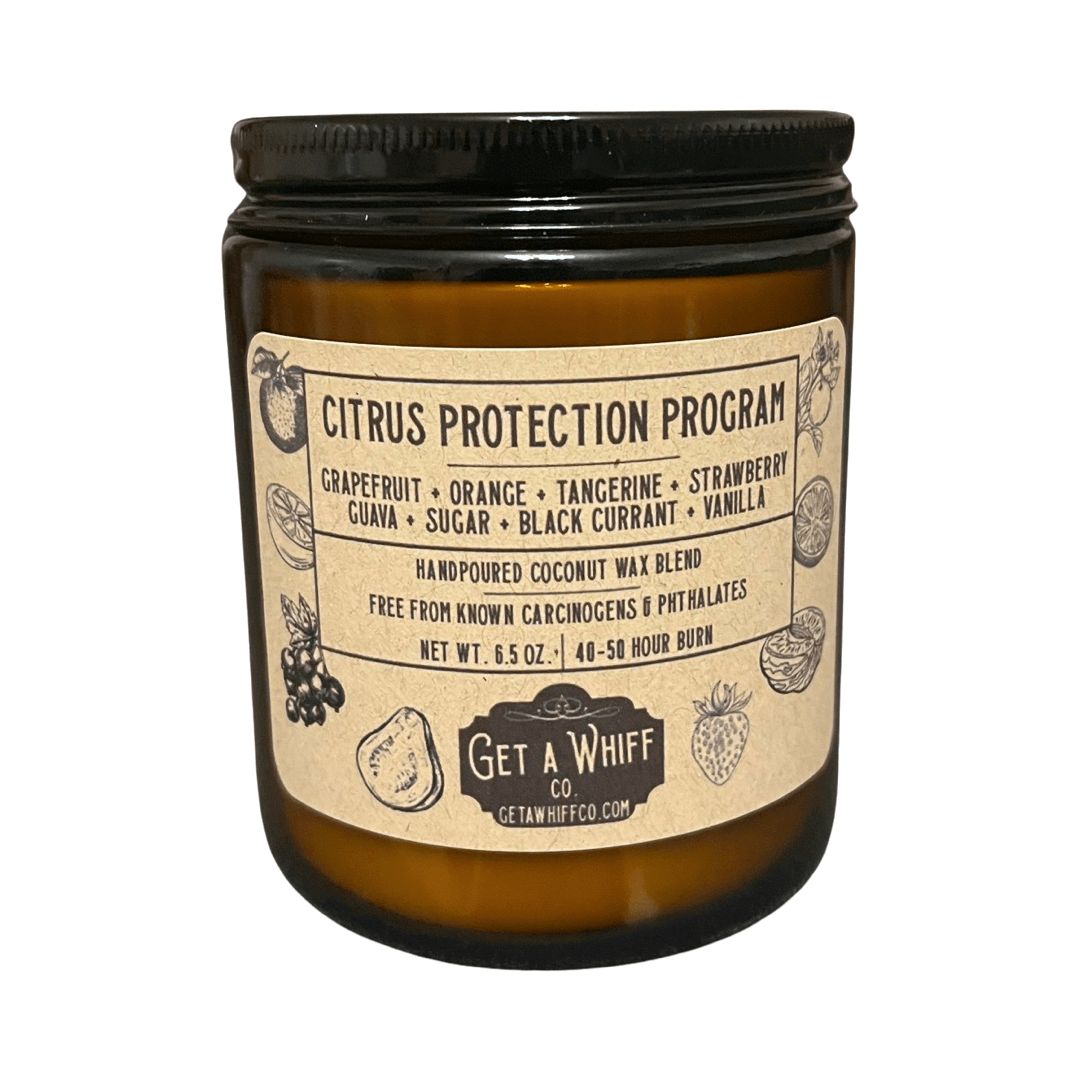 Sweet Orange Crackling Wooden Wick Scented Candle Made With Coconut Wax In Amber Jar (Citrus Protection Program)
