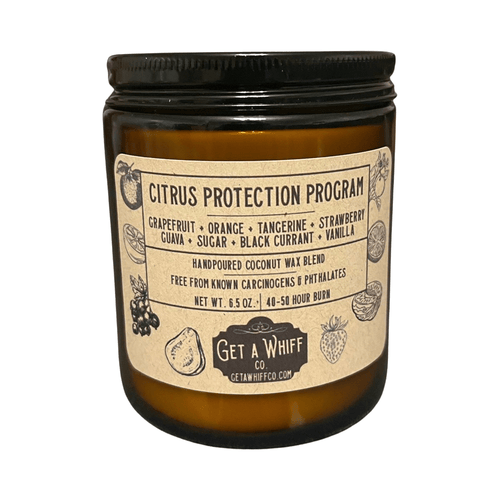 Sweet Orange Crackling Wooden Wick Scented Candle Made With Coconut Wax In Amber Jar (Citrus Protection Program)