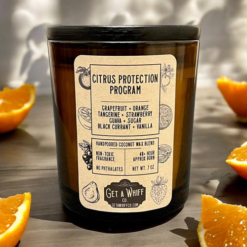 Sweet Orange Crackling Wooden Wick Scented Candle Made With Coconut Wax In Amber Jar (Citrus Protection Program)